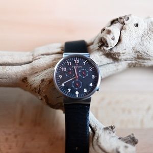 SKAGEN men watch - SKW6100